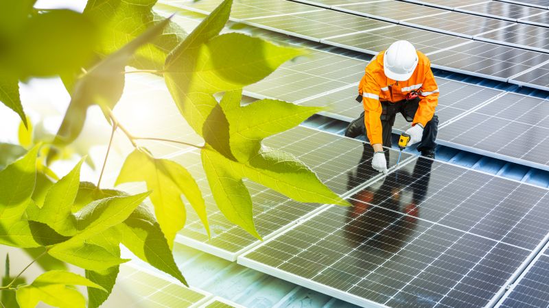 Consultation for Solar Projects